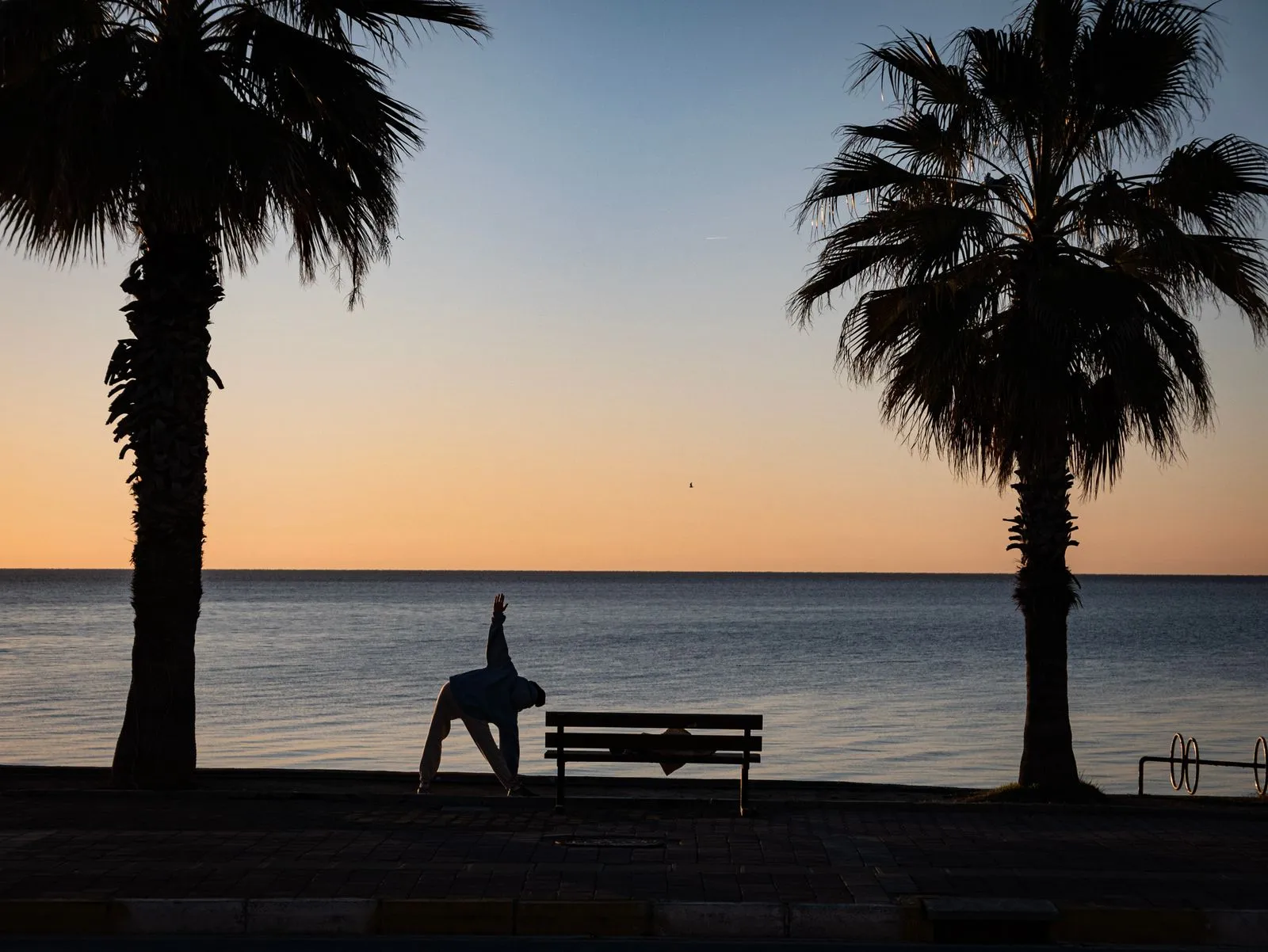 Person stretching by the sea at sunrise under palm trees, a Wellness Month morning