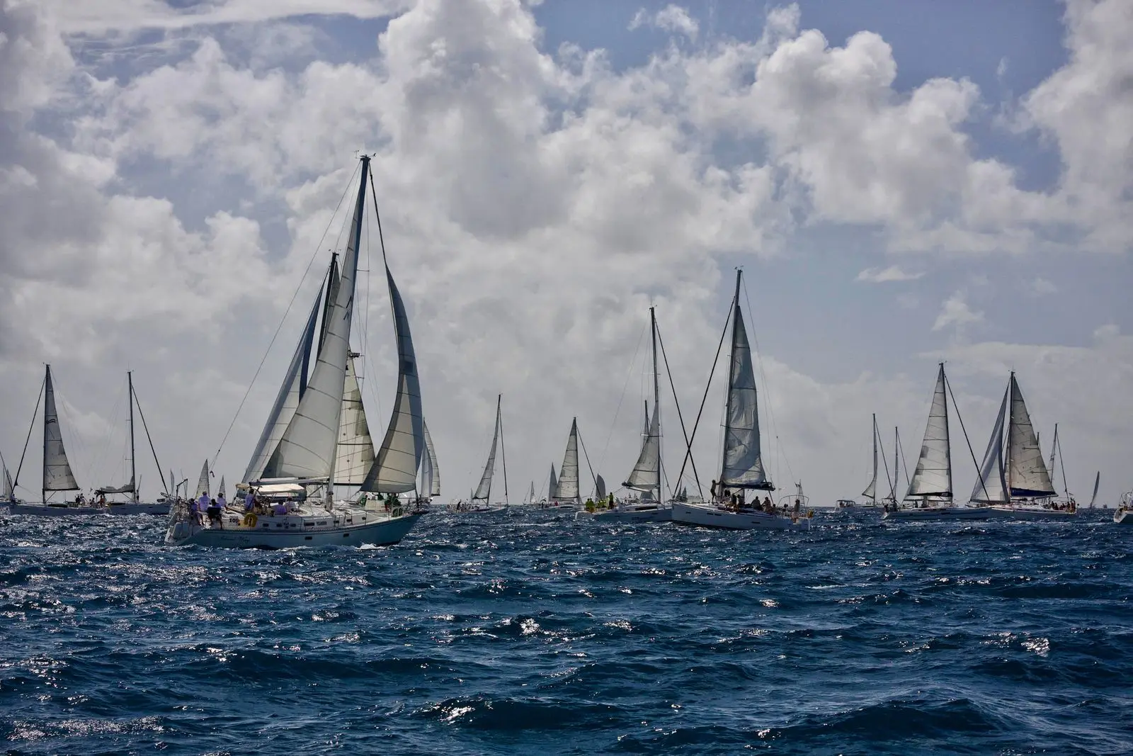 Fleet of racing sailboats at sea under a cloudy sky