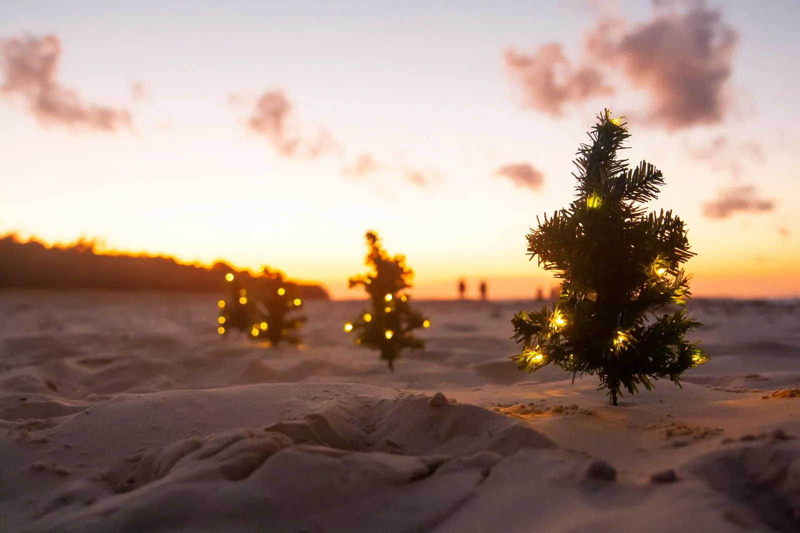 Small Christmas trees with fairy lights on a Caribbean beach at sunset, Christmas in Antigua