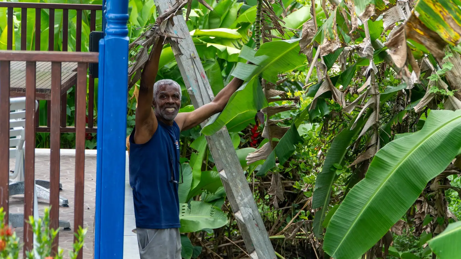 Lionel Walker, owner of LambLion, picking fruit in his garden in central Antigua