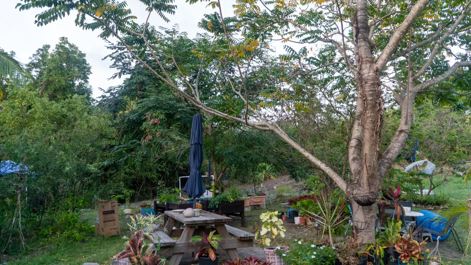 Garden seating under the trees at LambLion apartments, central Antigua
